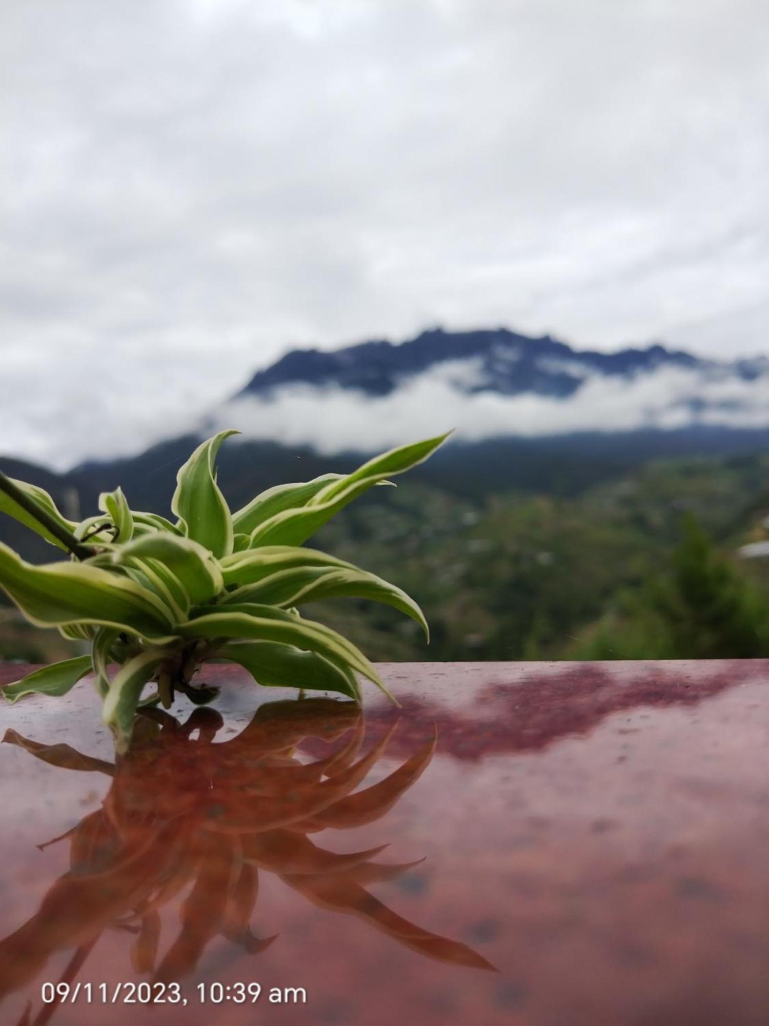 Highland Homestay Kundasang راناوْ المظهر الخارجي الصورة